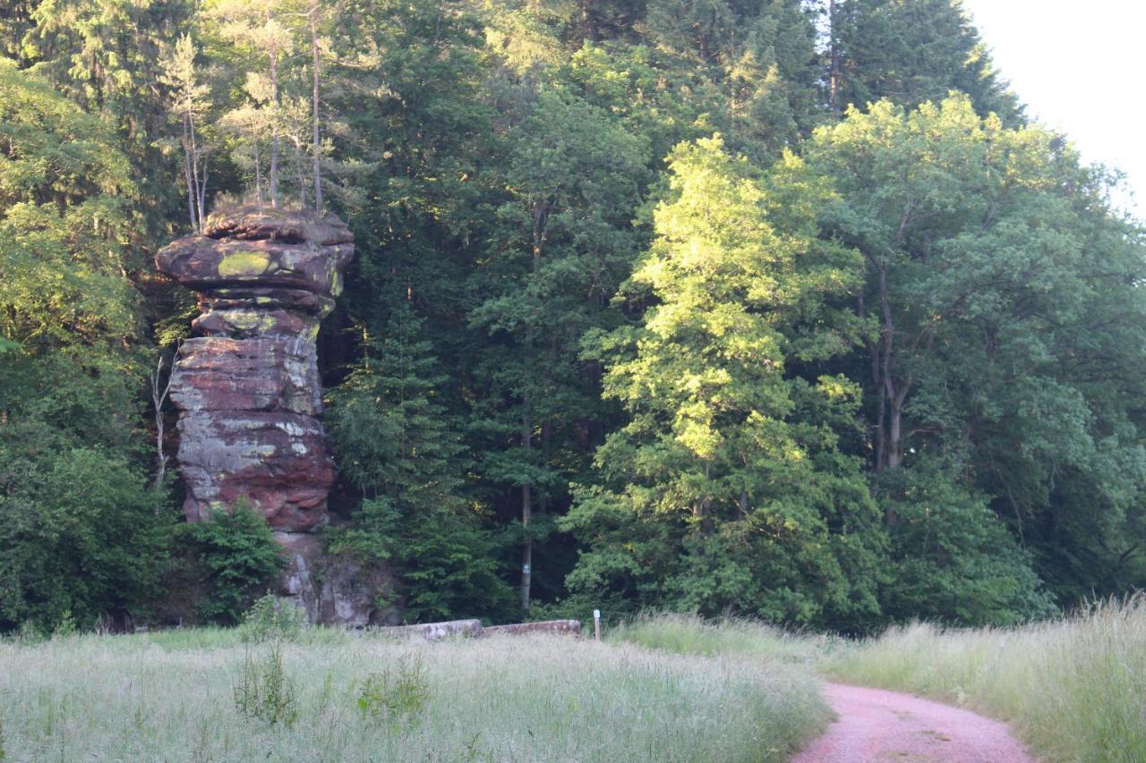Gaestehaus Herrenmuehle Freudenburg  Zewnętrze zdjęcie