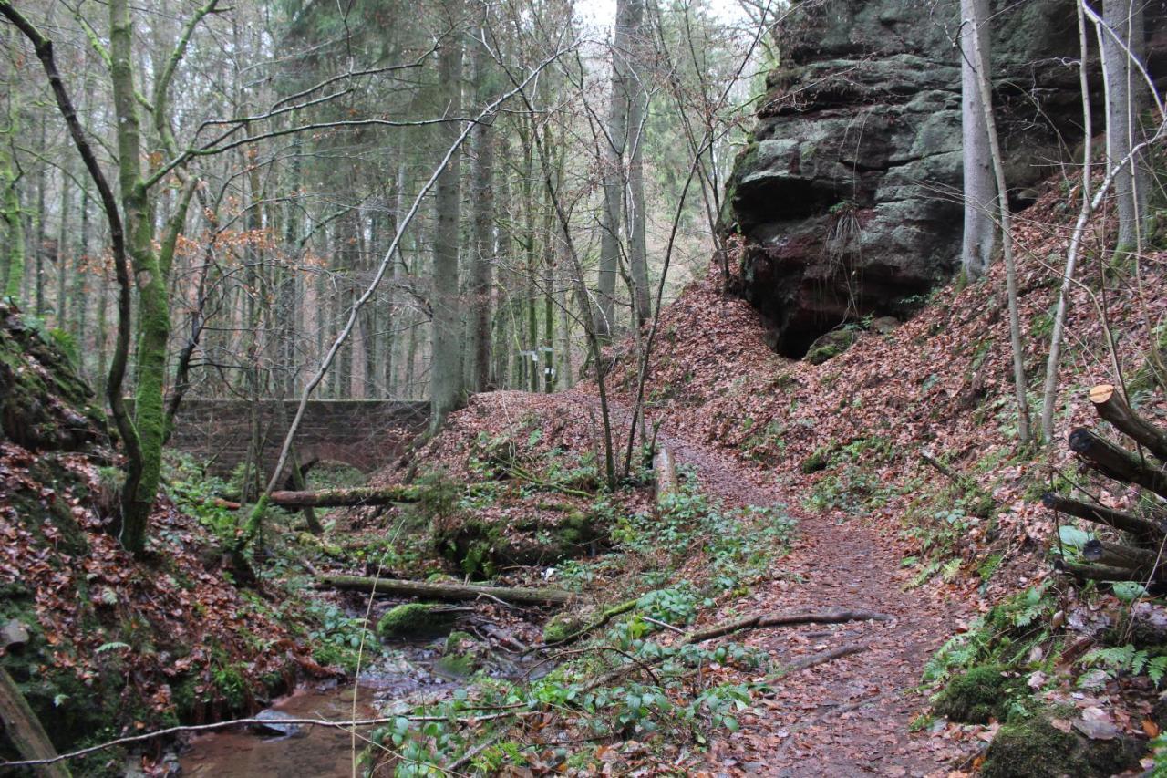 Gaestehaus Herrenmuehle Freudenburg  Zewnętrze zdjęcie
