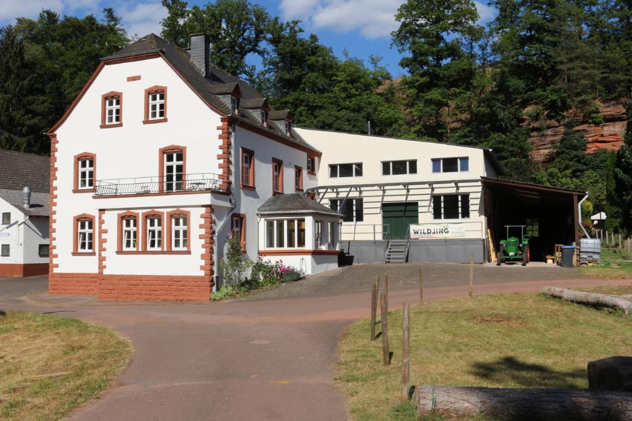 Gaestehaus Herrenmuehle Freudenburg  Zewnętrze zdjęcie