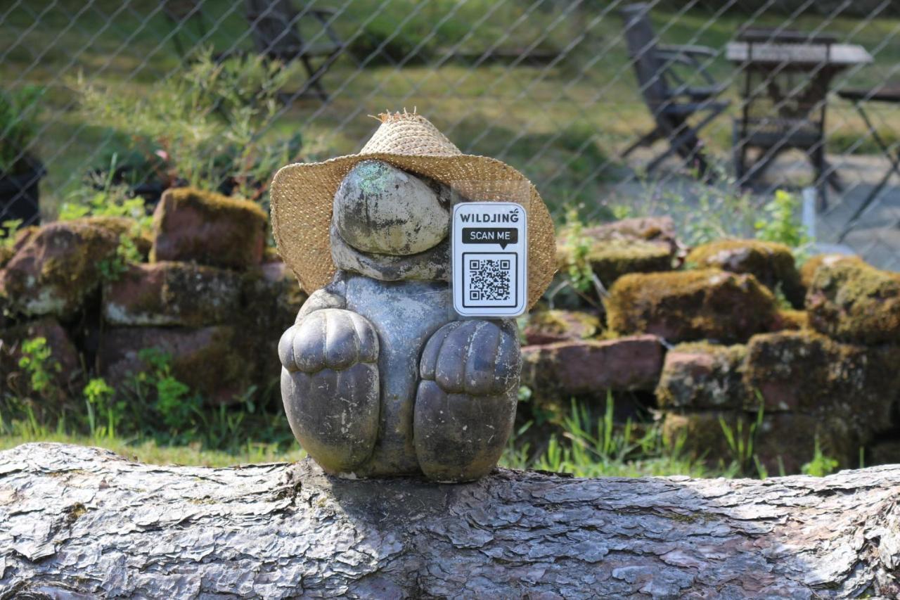 Gaestehaus Herrenmuehle Freudenburg  Zewnętrze zdjęcie